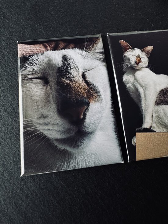 Foto Magnēts 53x78 mm