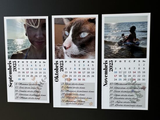 Kalendārs 61mm x ~120mm